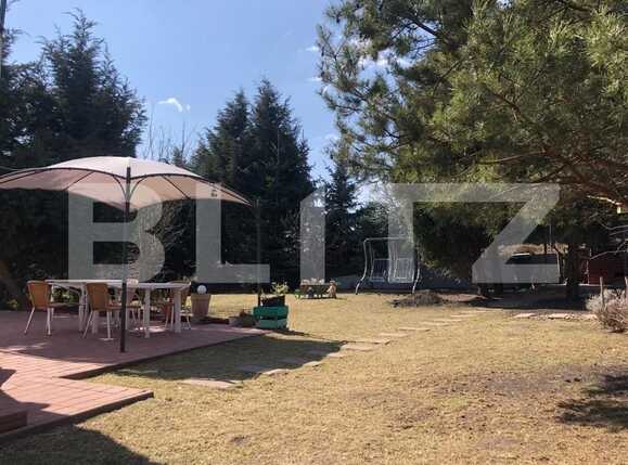 Casa de vânzare 5 camere Dambul Rotund - 83334CV | BLITZ Cluj-Napoca | Poza7