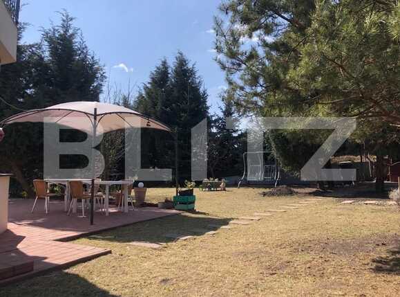 Casa de vânzare 5 camere Dambul Rotund - 83334CV | BLITZ Cluj-Napoca | Poza6