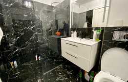 Apartament 2 camere, 54 mp, mobilat si utilat lux, terasa 30 mp, Donath Park