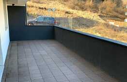 Apartament 2 camere, 54 mp, mobilat si utilat lux, terasa 30 mp, Donath Park