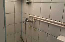 Camera de camin, 24 mp, zona Uzina 2