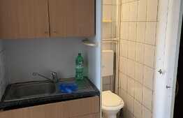 Camera de camin, 24 mp, zona Uzina 2