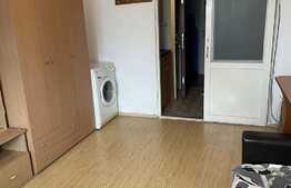 Camera de camin, 24 mp, zona Uzina 2