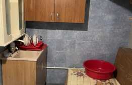 Camera de camin, 24 mp, zona Bartolomeu