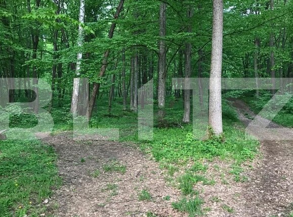 Teren de vânzare Făget - 83366TV | BLITZ Cluj-Napoca | Poza3