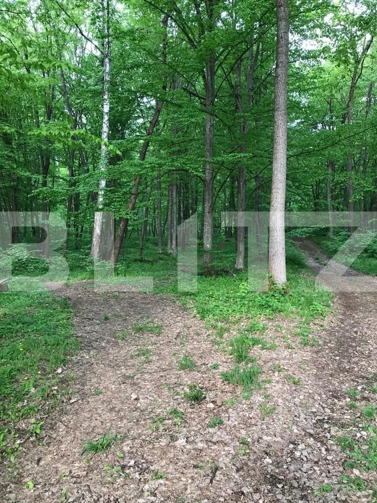 Teren de vânzare Făget - 83366TV | BLITZ Cluj-Napoca | Poza3