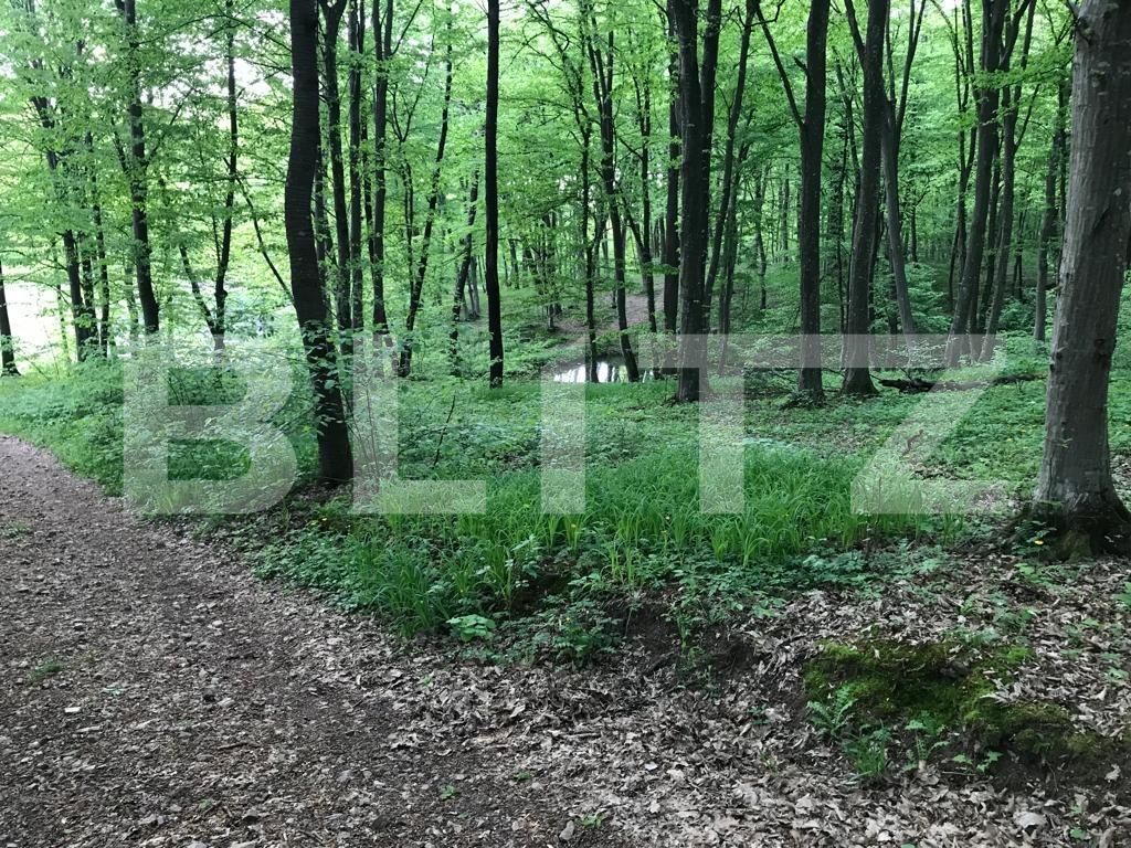 Teren de vânzare Făget - 83366TV | BLITZ Cluj-Napoca | Poza5