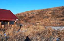 Teren intravilan de 2000 mp, in Dezmir