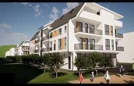 Apartament 3 camere, 49.9 mp, etaj intermediar, zona Terra