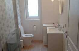 Spatiu comercial, 76 mp, finisat modern, zona Europa