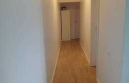 Spatiu comercial, 76 mp, finisat modern, zona Europa