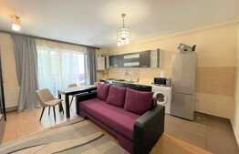 Apartament cu nisa de dormit, 40 mp, balcon, zona strazii Oasului 