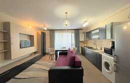 Apartament cu nisa de dormit, 40 mp, balcon, zona strazii Oasului 