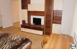 Apartament 1 camera 42 mp pentru studentii de la medicina! Zona Viilor!