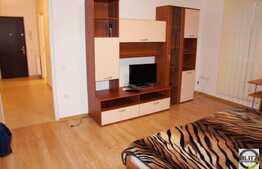 Apartament 1 camera 42 mp pentru studentii de la medicina! Zona Viilor!
