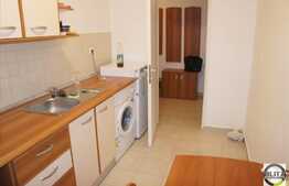 Apartament 1 camera 42 mp pentru studentii de la medicina! Zona Viilor!