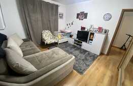 Garsoniera de 38 mp, decomandata, zona Sanpetru