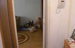 Garsoniera de vanzare, 28 mp utili, zona Mehedinti