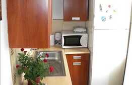 Garsoniera de vanzare, 28 mp utili, zona Mehedinti