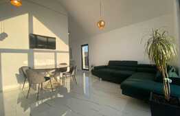 Apartament 2 camere de LUX in Sannicoara