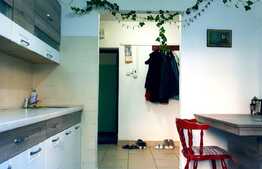 Apartament de 2 camere, 50 de mp, izolat exterior, zona Mercur