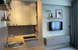 Garsoniera de lux, 21 mp, etaj intermediar, zona Parcul Rozelor