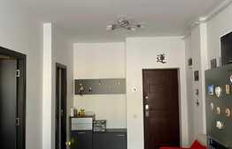 Apartament de 2 camere, etaj intermediar, zona Iulius Mall
