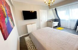 Penthouse 2 camere, 62 mp, terasa cu jacuzzi, AC, zona Vivo