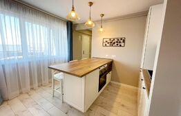 Penthouse 2 camere, 62 mp, terasa cu jacuzzi, AC, zona Vivo