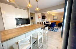 Penthouse 2 camere, 62 mp, terasa cu jacuzzi, AC, zona Vivo