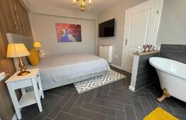 Penthouse 2 camere, 62 mp, terasa cu jacuzzi, AC, zona Vivo