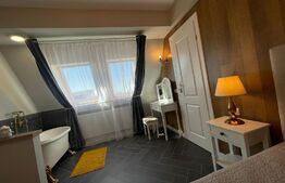 Penthouse 2 camere, 62 mp, terasa cu jacuzzi, AC, zona Vivo