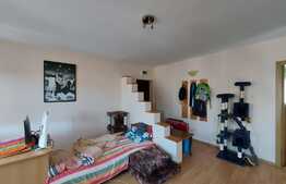 Apartament 2 camere, 45 mp, parcare, zona Stejarului