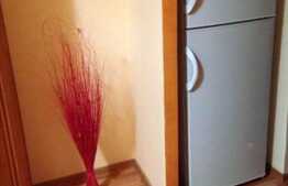 1 camera, 28 mp, mobilat modern, zona strazii Bogdan Voda