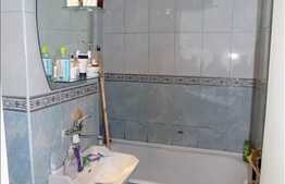 1 camera, 30 mp, zona strazii Grigore Alexandrescu