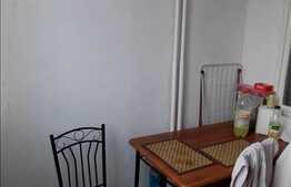 1 camera, 30 mp, zona strazii Grigore Alexandrescu