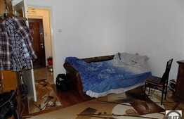 1 camera, 30 mp, zona strazii Grigore Alexandrescu