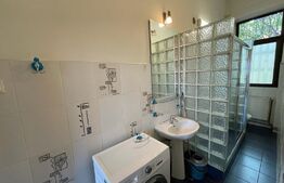 Apartament 3 camere, 100 mp, gradina 80 mp, P-ta Mihai Viteazu