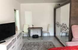 Garsonieră confort 1, 27 mp, parter înalt, zona Bulevardului Muncii