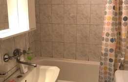 Garsoniera de 31 mp, centrala, zona strazii Constantin Brancusi