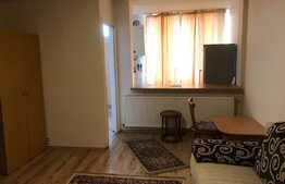 Garsoniera de 31 mp, centrala, zona strazii Constantin Brancusi