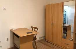 Garsoniera de 31 mp, centrala, zona strazii Constantin Brancusi