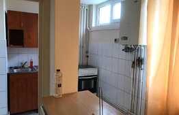 Garsoniera de 31 mp, centrala, zona strazii Constantin Brancusi