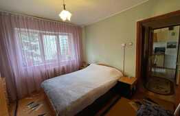 Apartament 2 camere, 50 mp, decomandat, etaj intermediar, zona Grigore Alexandrescu