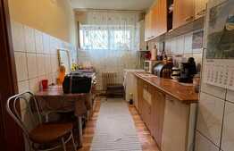 Apartament 2 camere, 50 mp, decomandat, etaj intermediar, zona Grigore Alexandrescu