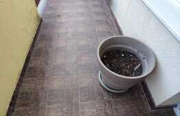 Apartament 4 camere, 113 mp, parcare, zona Terra