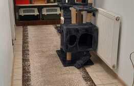 Apartament 3 camere, 61 mp, semidecomandat, zona Lidl