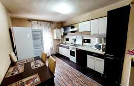 Apartament 3 camere decomandate, 62 mp, mobilat! Zona Gheorghe Doja