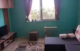 Garsoniera de 24 mp, mobilata, zona Triaj