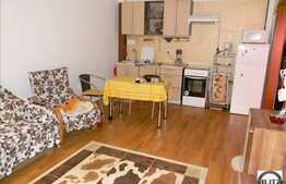 De vanzare apartament cu 2 camere, zona Porii, 45 mp utili